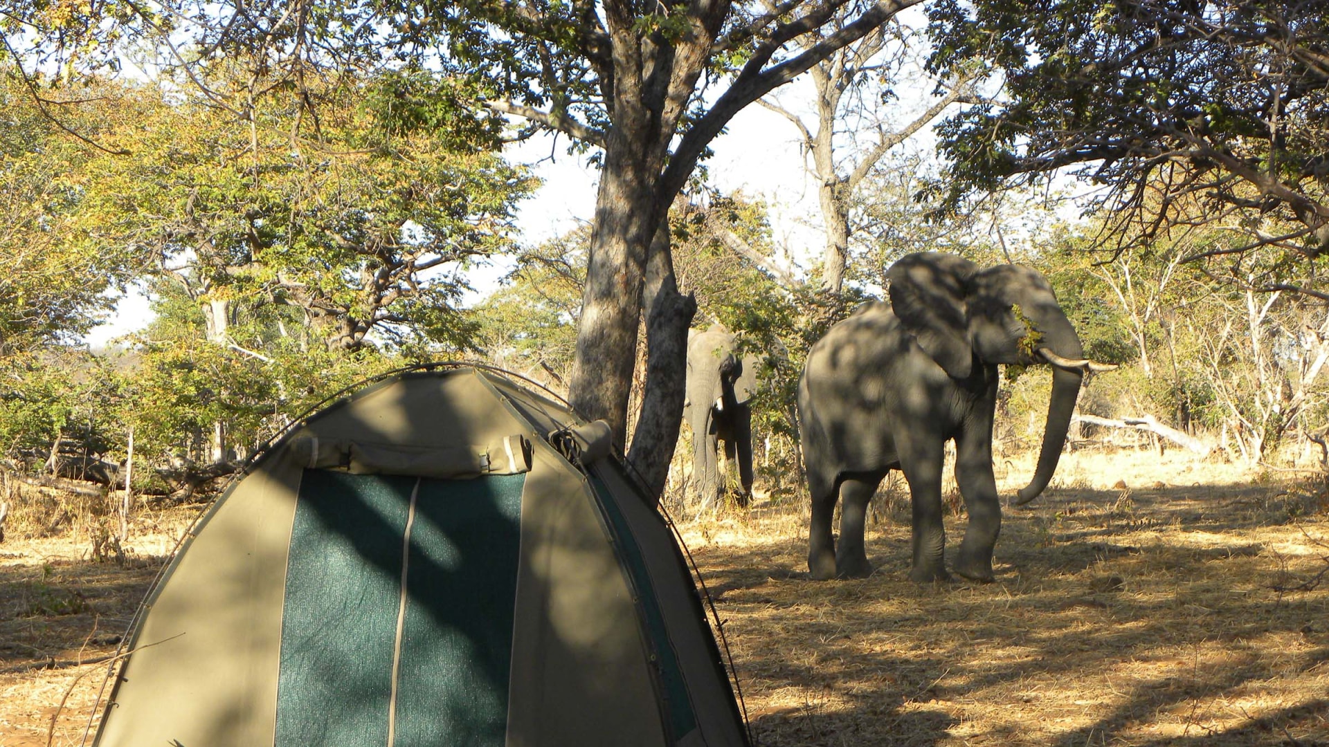 Camping-Safari im wilden Botswana